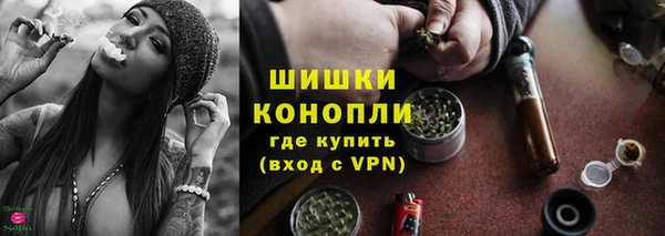PSILOCYBIN Богданович