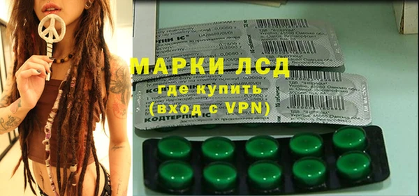 PSILOCYBIN Богданович