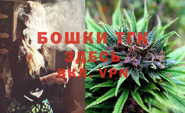 ALPHA-PVP Богородицк