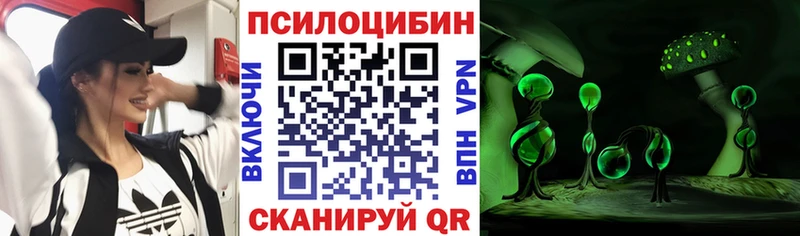 shop как зайти  Губкинский  Псилоцибиновые грибы GOLDEN TEACHER  МЕГА ONION 