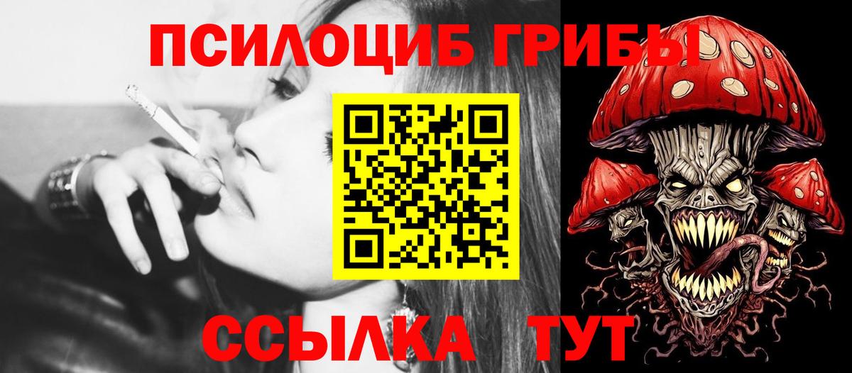 Псилоцибиновые грибы мухоморы Губкинский